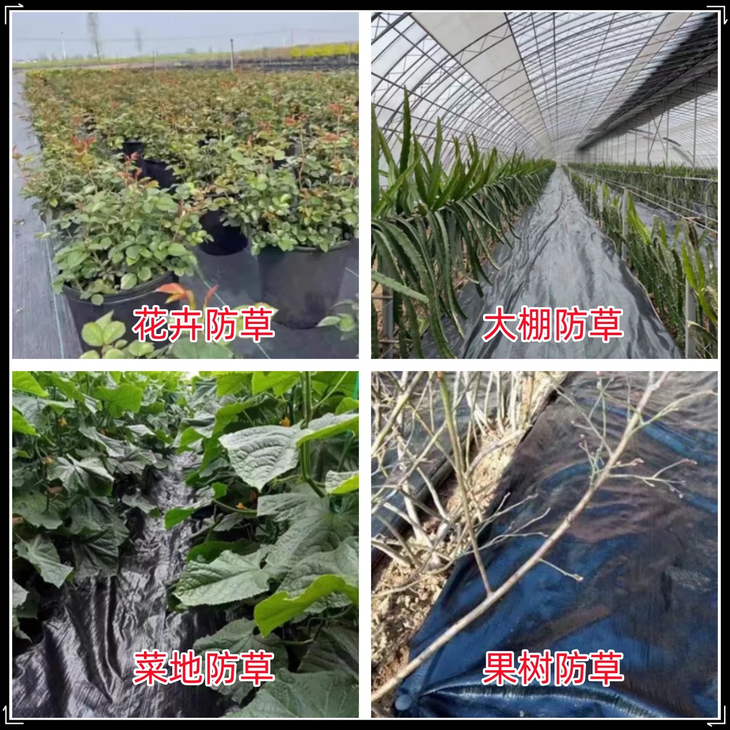 娄底市大棚膜防草布 - 厂家
