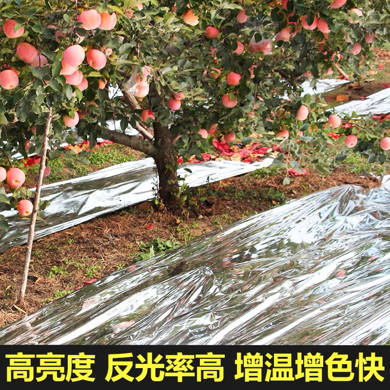 娄底市黑白养殖膜果树反光膜 - 推荐